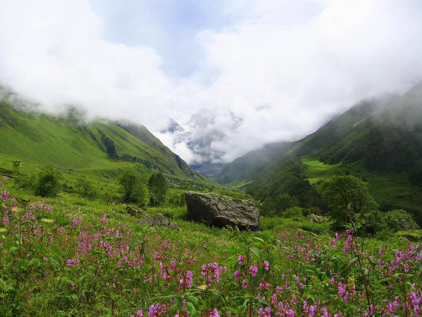 Nanda Devi and Valley of Flowers National Parks