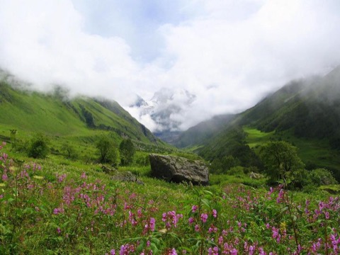 Uttarakhand